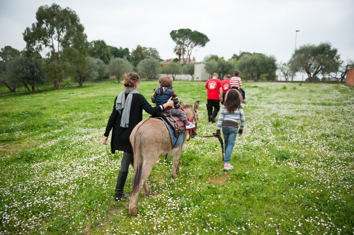 fattoria 1