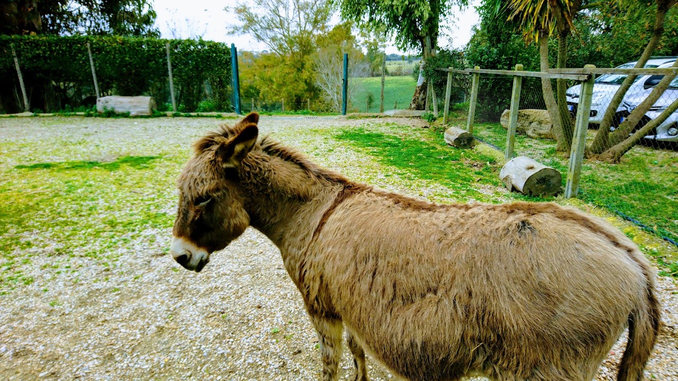 fattoria 4