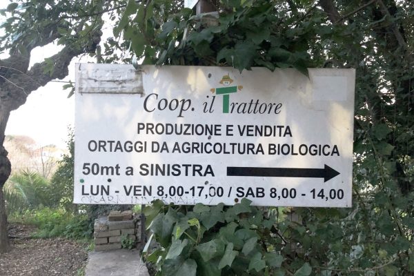 Coop il trattore Orari di apertura