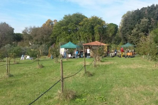 Il giardino dei frutti perduti 26-02-2024 alle 17.09.58 2