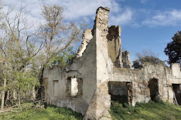 Villa Baccelli Guido Trullo Collina di Montecucco Roma 1