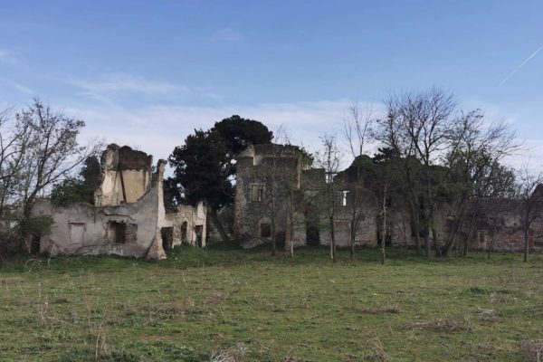 Villa Baccelli Guido Trullo Collina di Montecucco Roma 5